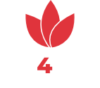 MB4YOU