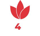 mb4you-logo-5498
